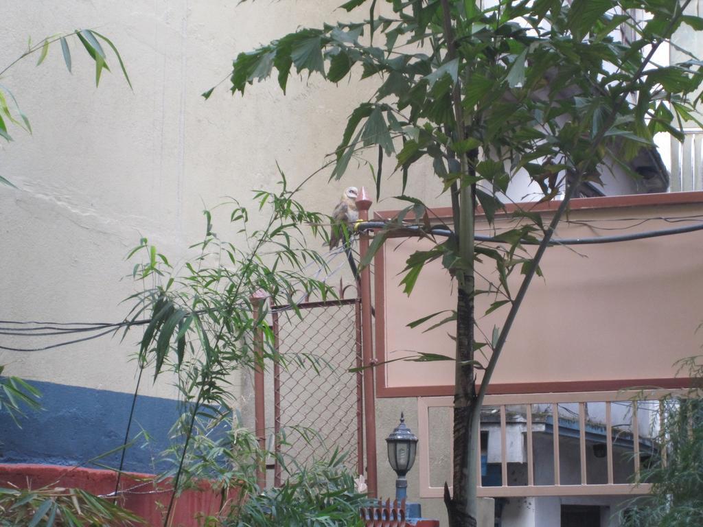 Tasi Dhargey Inn Katmandu Dış mekan fotoğraf