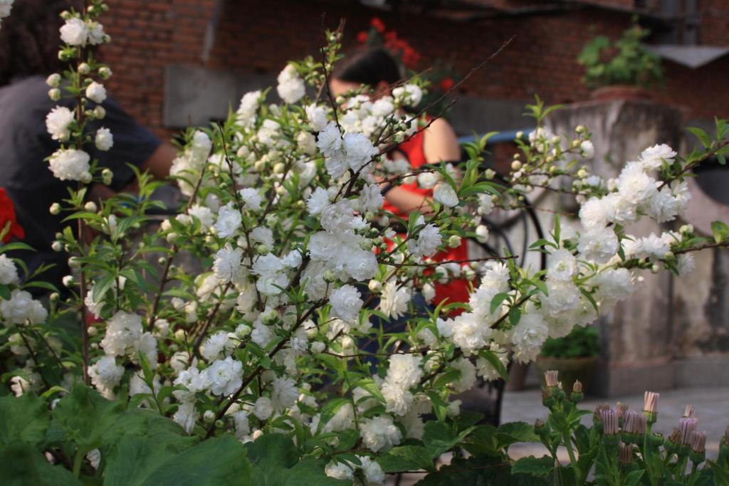 Tasi Dhargey Inn Katmandu Dış mekan fotoğraf