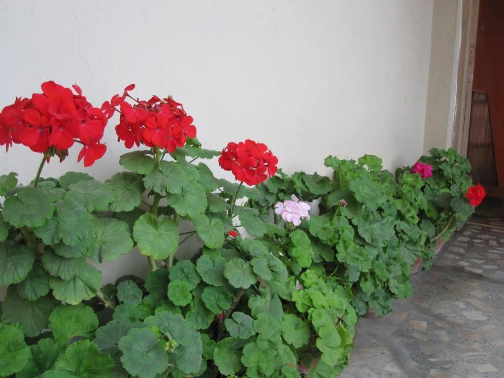 Tasi Dhargey Inn Katmandu Dış mekan fotoğraf